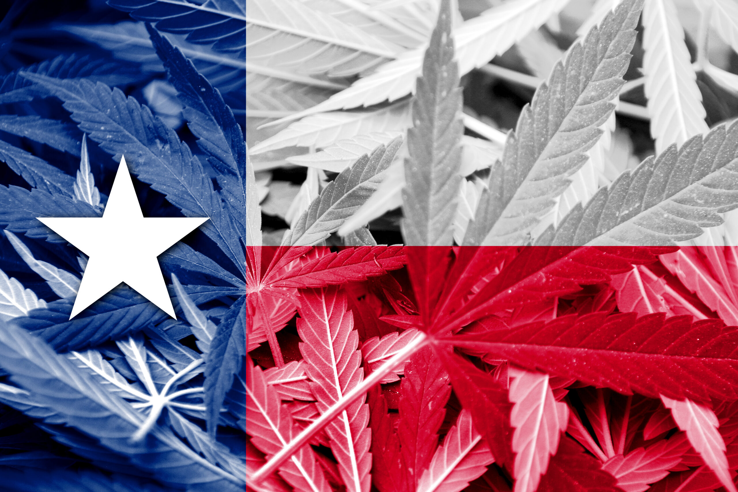 Hemp texas flag
