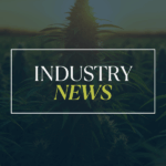 Three Separate Polls Conclude the Majority of Texans Want Regulated Hemp-derived THC Products