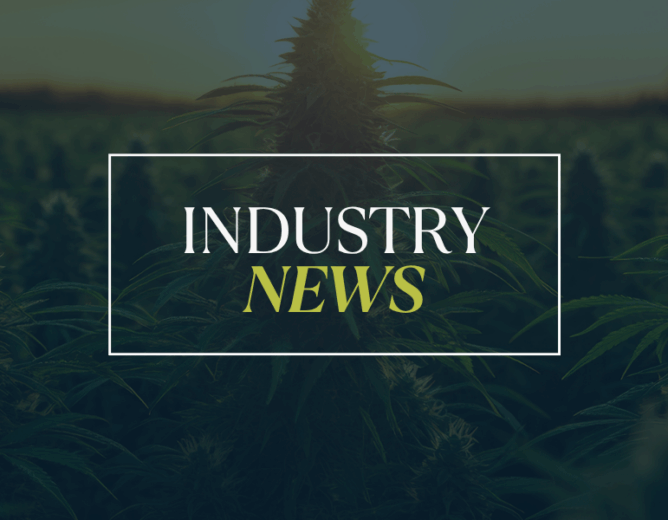Federal Update: Hemp Ban Language Removed from Senate Ag Appropriations Spending Bill