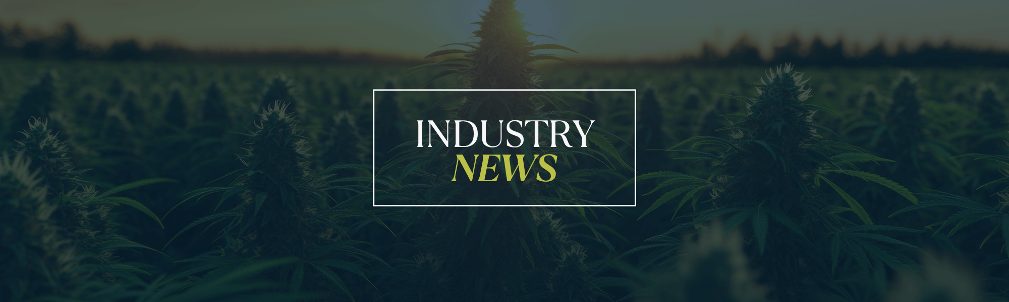 Hemp Industry News