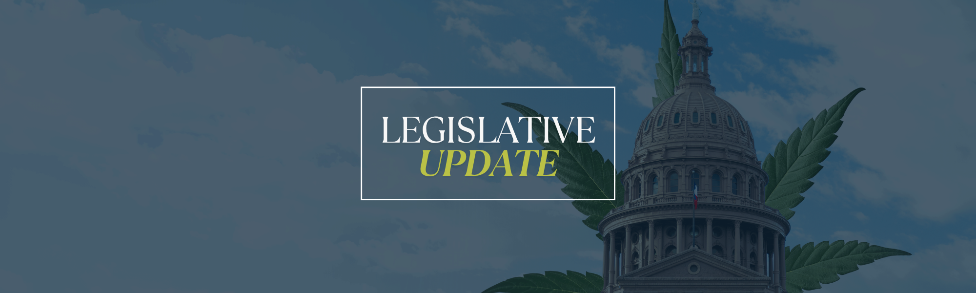 Hemp Legislation Update